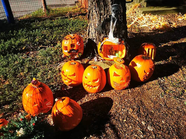 Halloween a spaní ve škole, fotka 11 z 36
