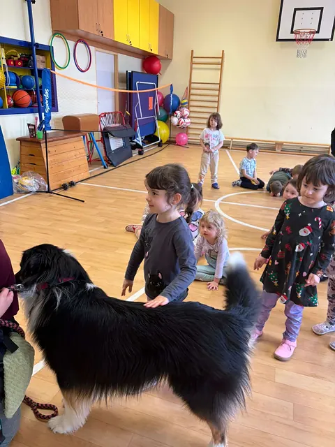 Canisterapie — školka, fotka 11 z 15