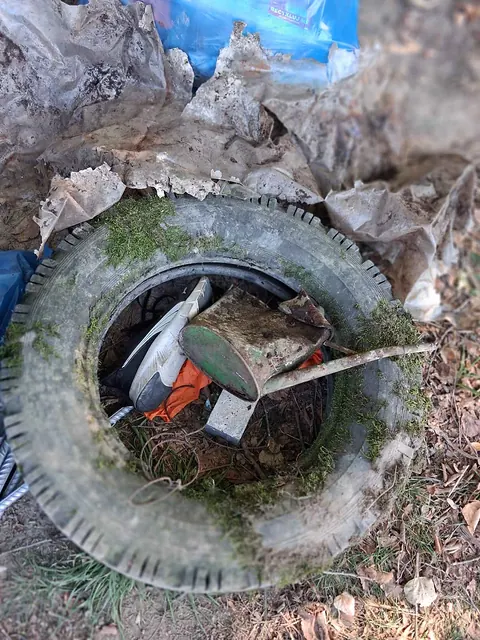 Sbírání odpadků, fotka 2 z 24