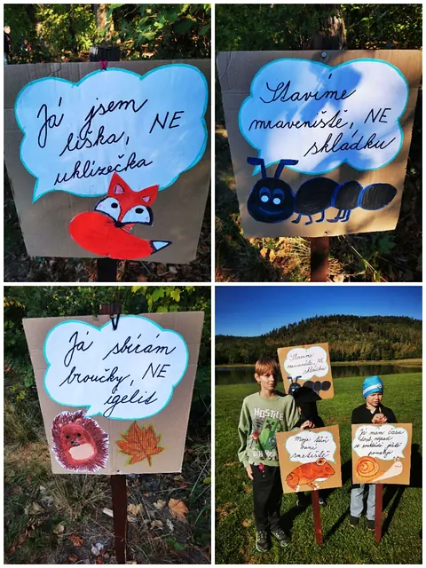 Sbírání odpadků, fotka 20 z 24