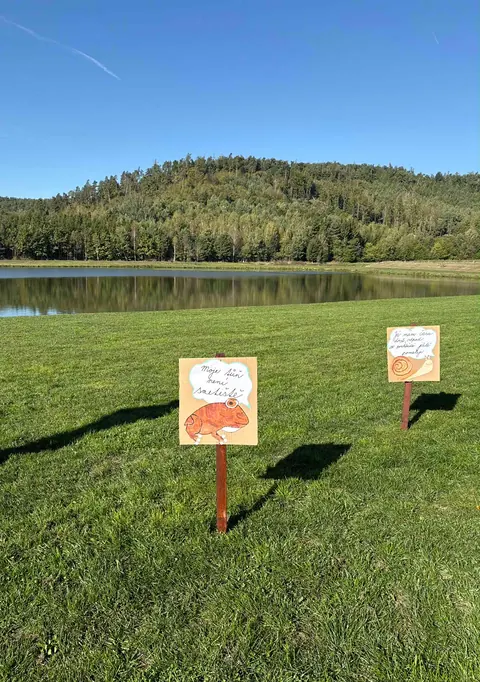 Sbírání odpadků, fotka 24 z 24