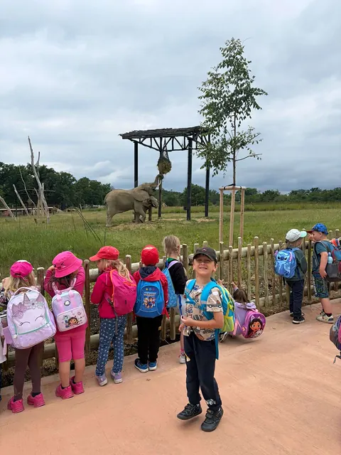 Výlet do ZOO Zlín — školka, fotka 19 z 30