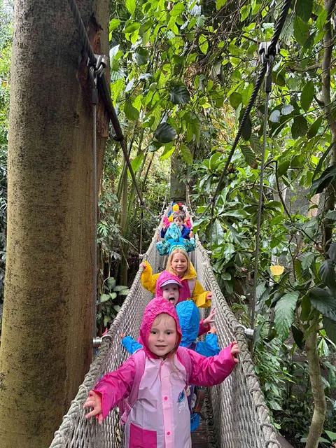 Výlet do ZOO Zlín — školka, fotka 22 z 30