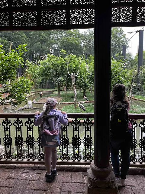 Výlet do ZOO Zlín — škola, fotka 16 z 24