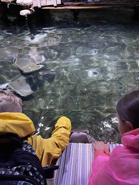 Výlet do ZOO Zlín — škola, fotka 20 z 24