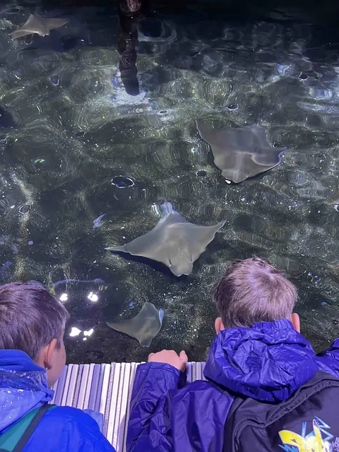 Výlet do ZOO Zlín — škola, fotka 23 z 24