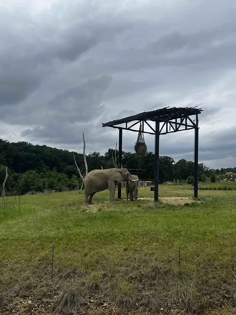 Výlet do ZOO Zlín — škola, fotka 8 z 24