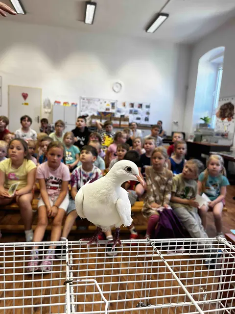 Vzdělávací program Papoušci, fotka 20 z 28